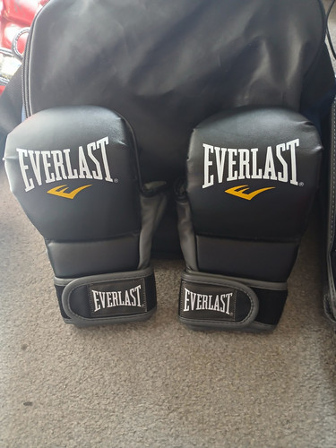 Everlast mma sparring - everlast, training