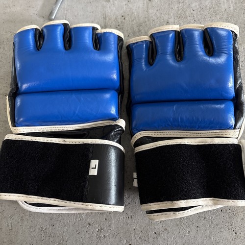 Mma gloves size large blue - gloves,