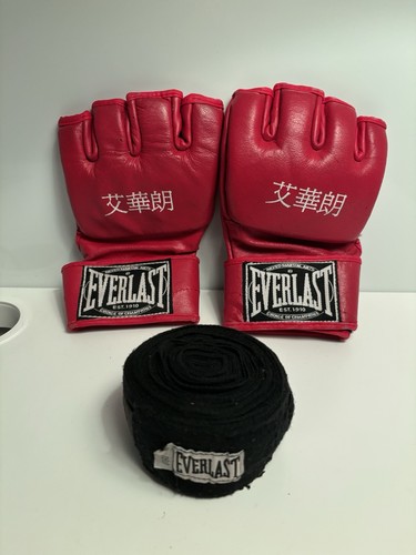 Everlast 2000s embroidered red - embroidered,